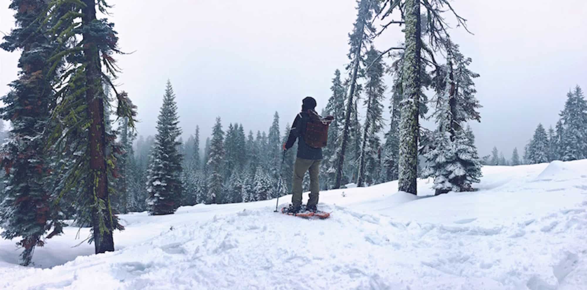 Skier in the woods