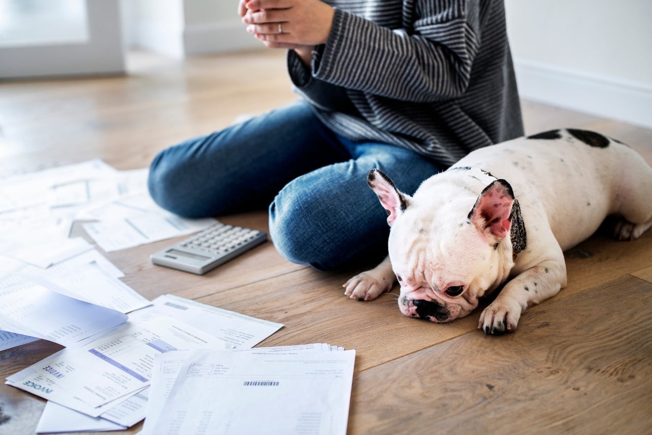 Managing Pet Care Expenses