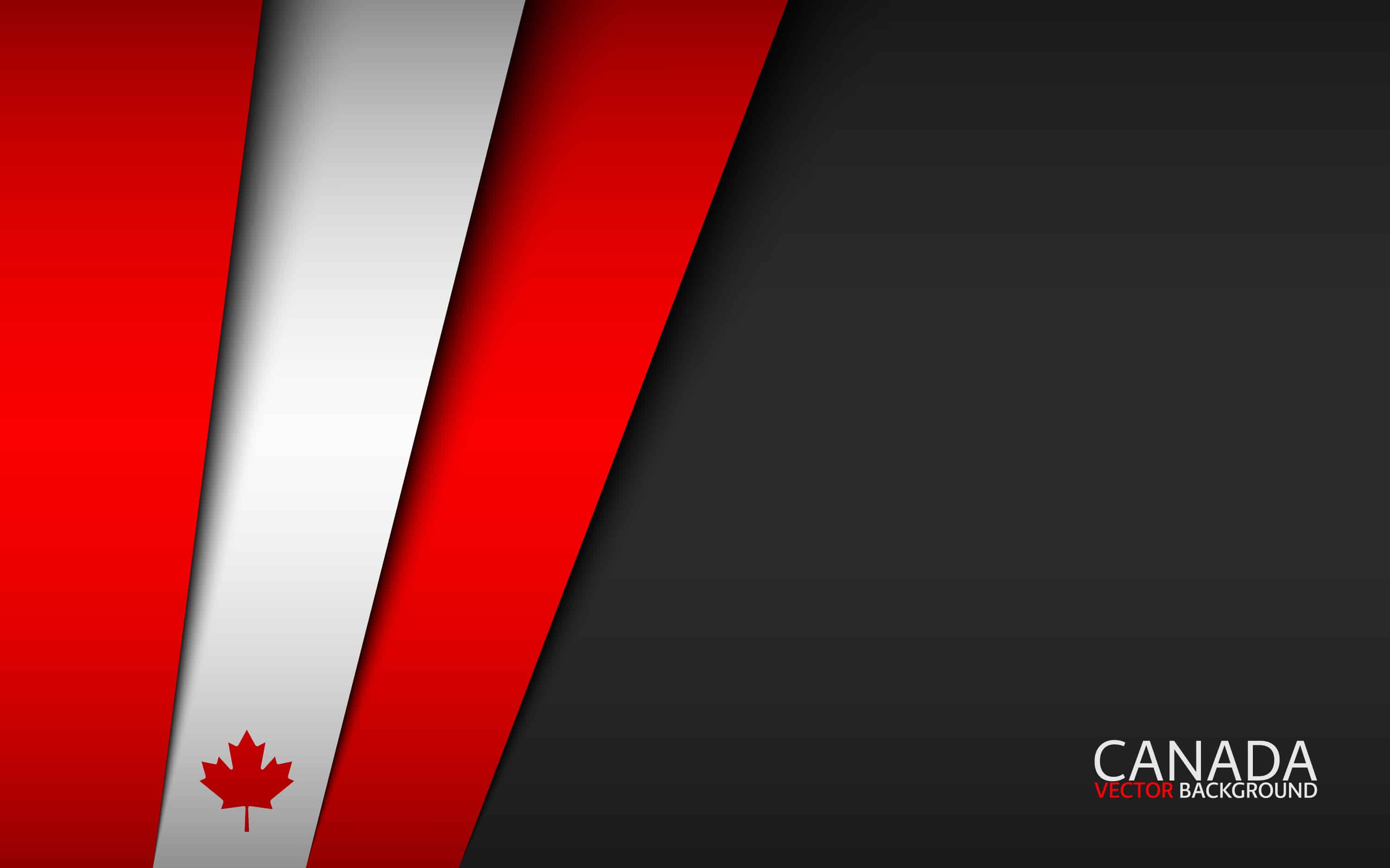 Buy Canadian-made products: Support the domestic economy